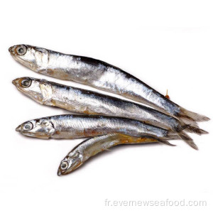 fruits de mer parfaits surgelés aux anchois à vendre